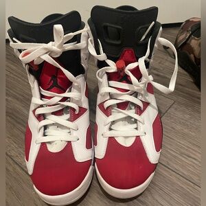 Air Jordan 6 Retro Carmine Used